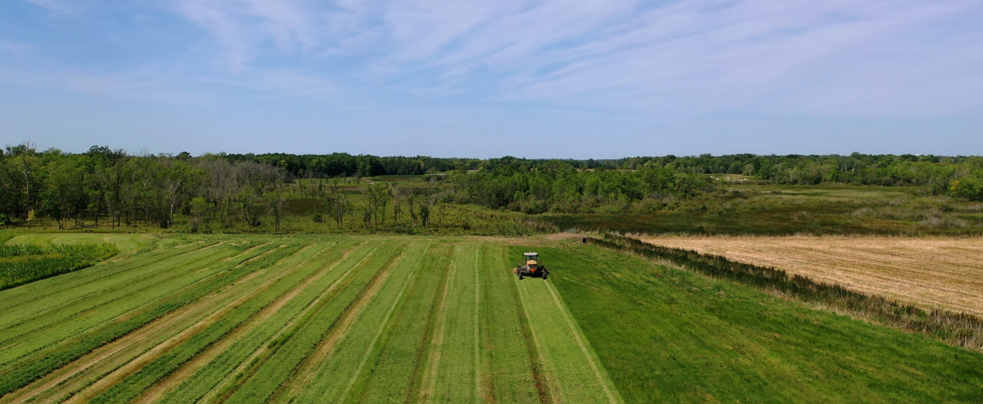 rural fields in Benton County, MN