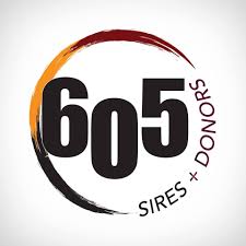 605 Sires, LLC Photo