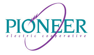 Pioneer Electric's Image