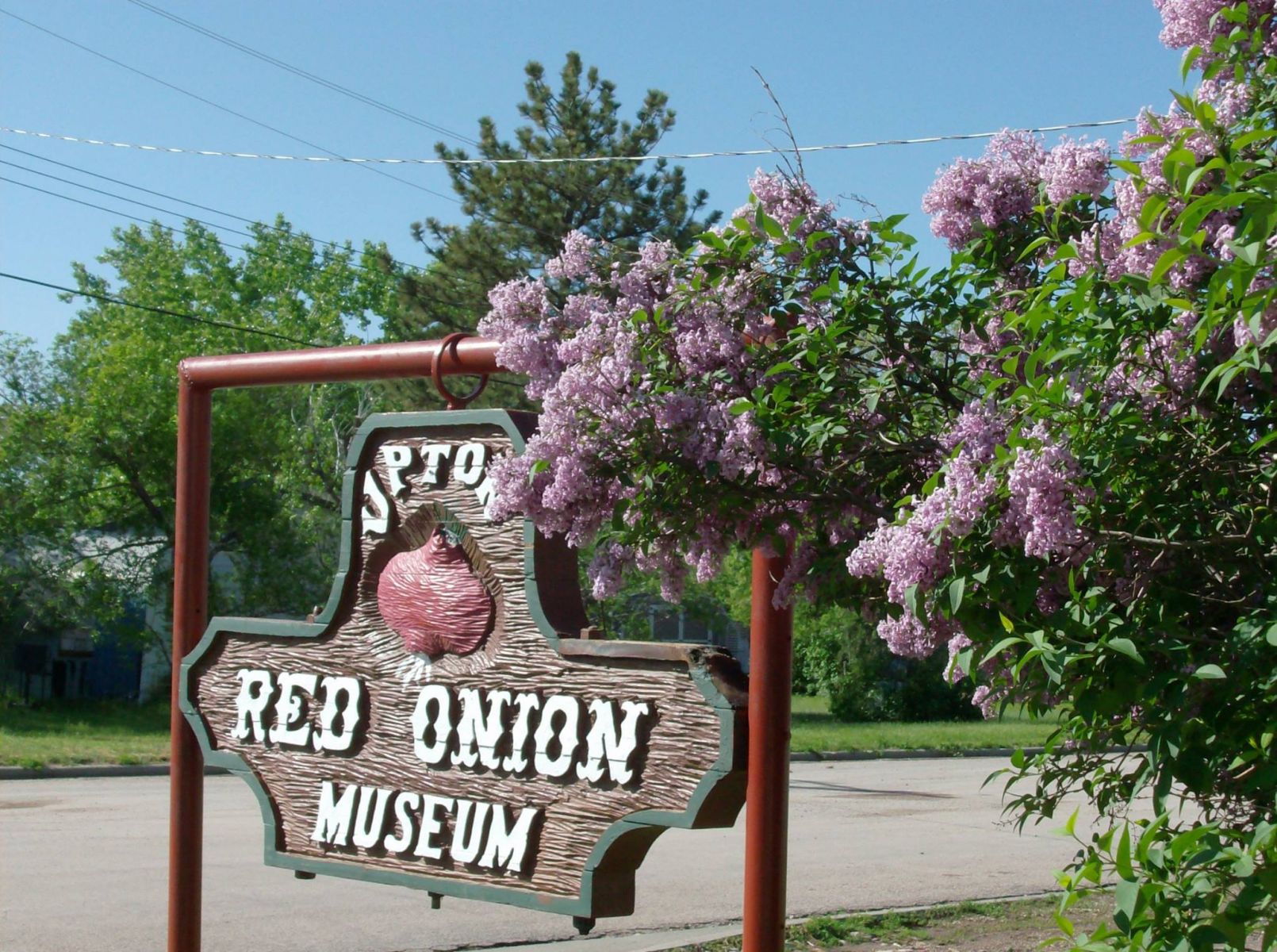 Red Onion Museum Photo