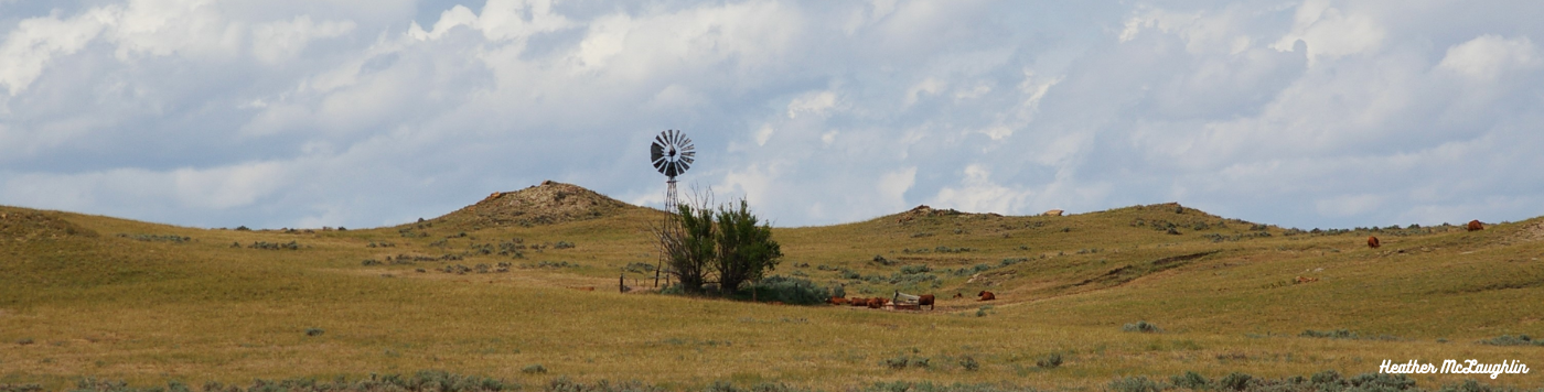 windmill and wyoming landscape