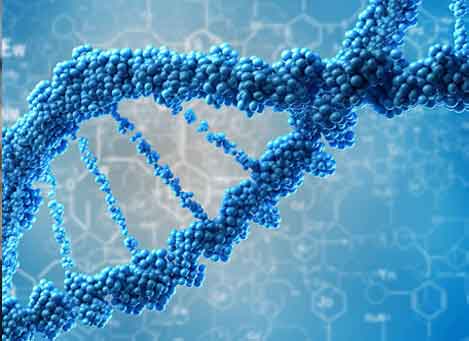 click here for biotechnology info