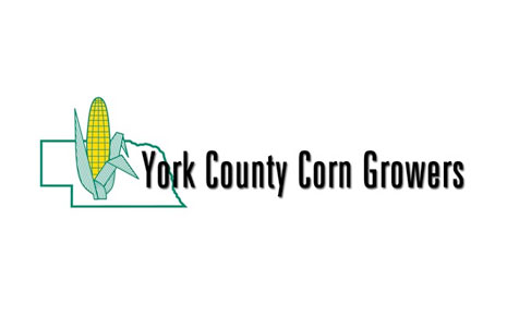 York County Corn Growers's Logo