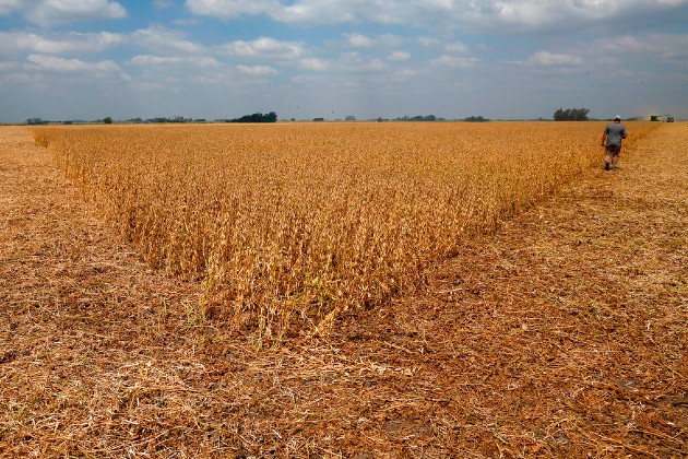 Eligible Drought-Affected Farmers Can Apply For Zero-Interest Loans Photo