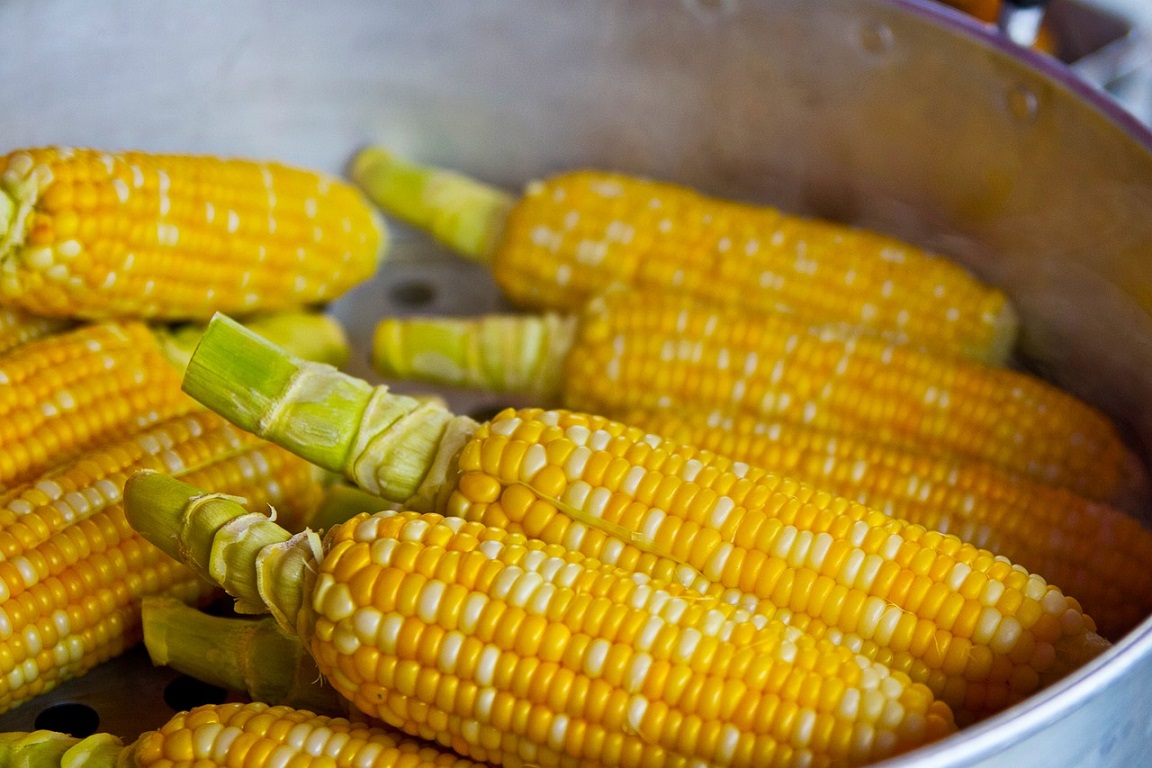 Annual farm picnic on Aug. 18 in Pierz Photo