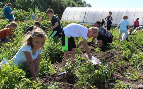 Click the Cultivating the Future: Celebrating CLC Ag & Energy Field Day in Todd County Slide Photo to Open